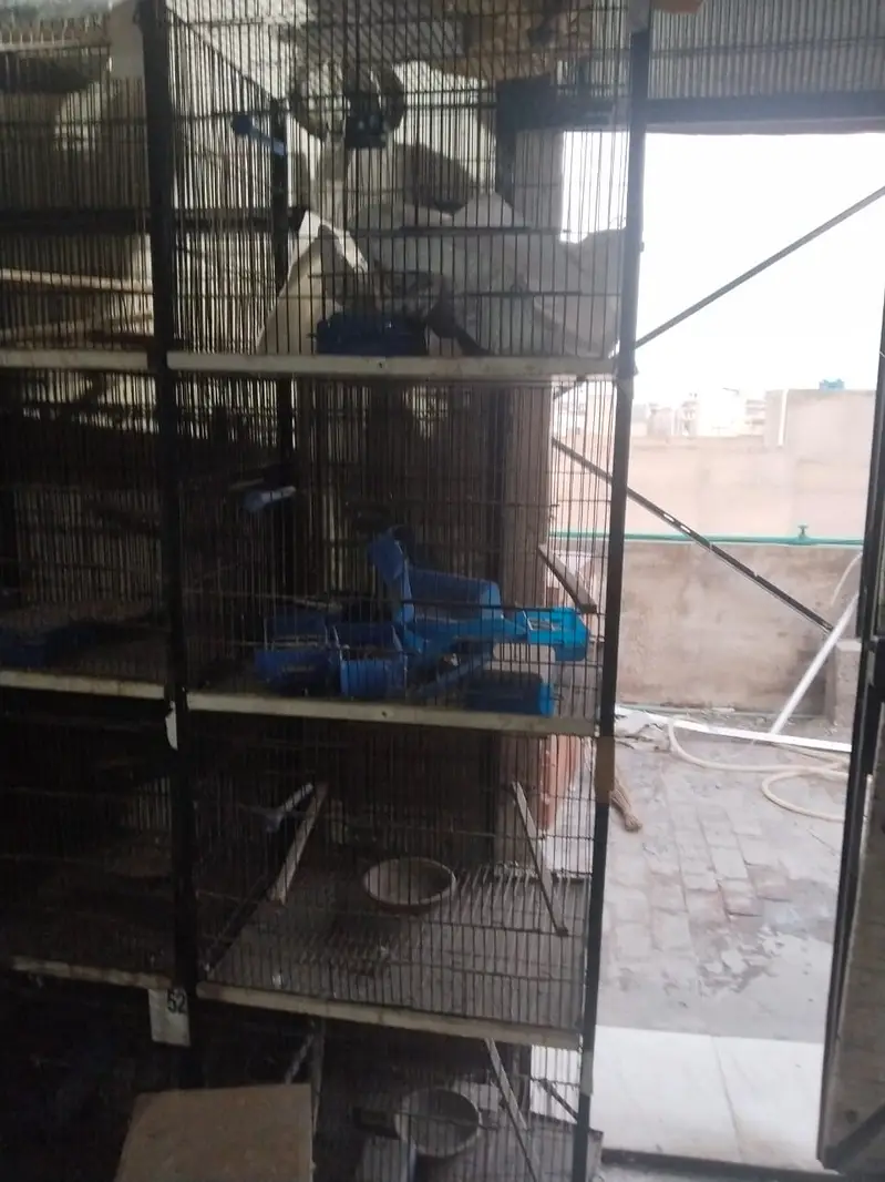 Birds Cage for Lovebirds Budgries — photo 2