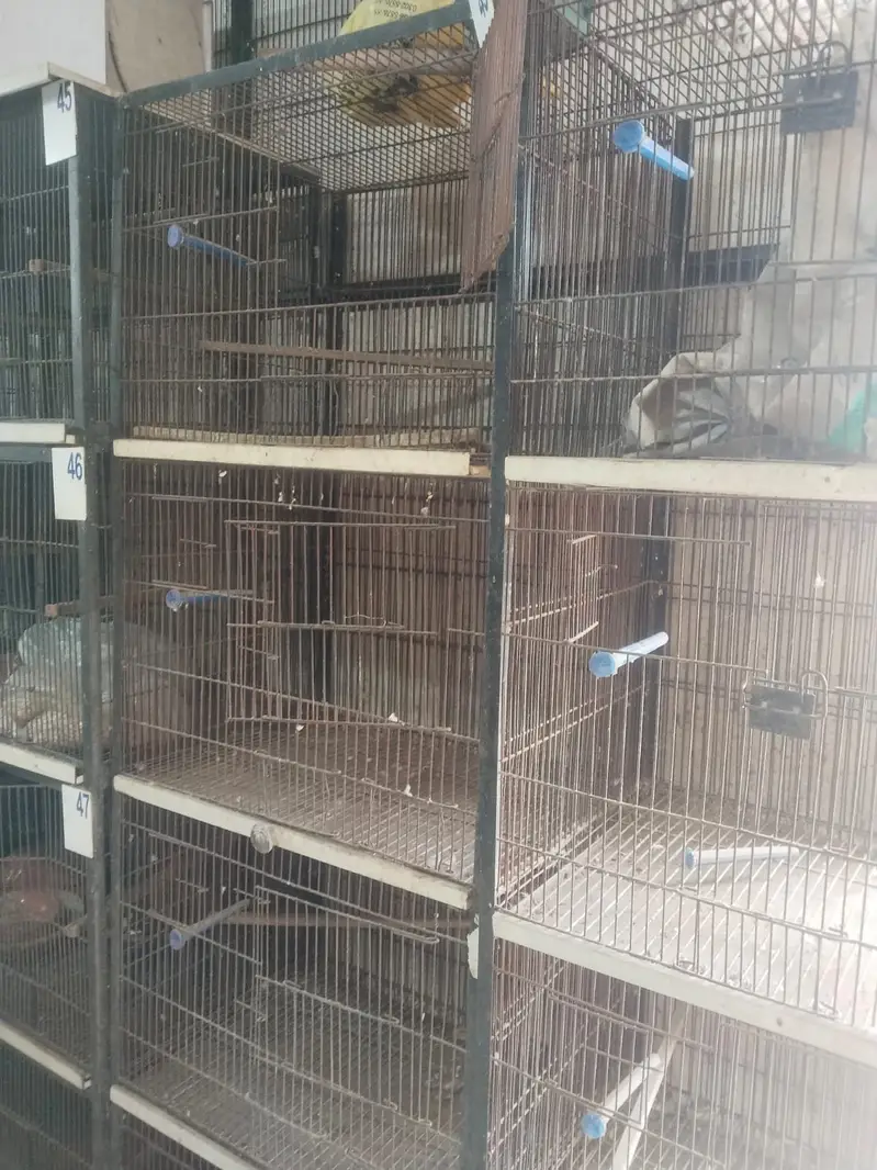 Birds Cage for Lovebirds Budgries — photo 4
