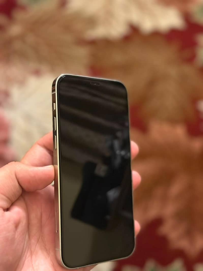 Apple iPhone 12 Pro 1