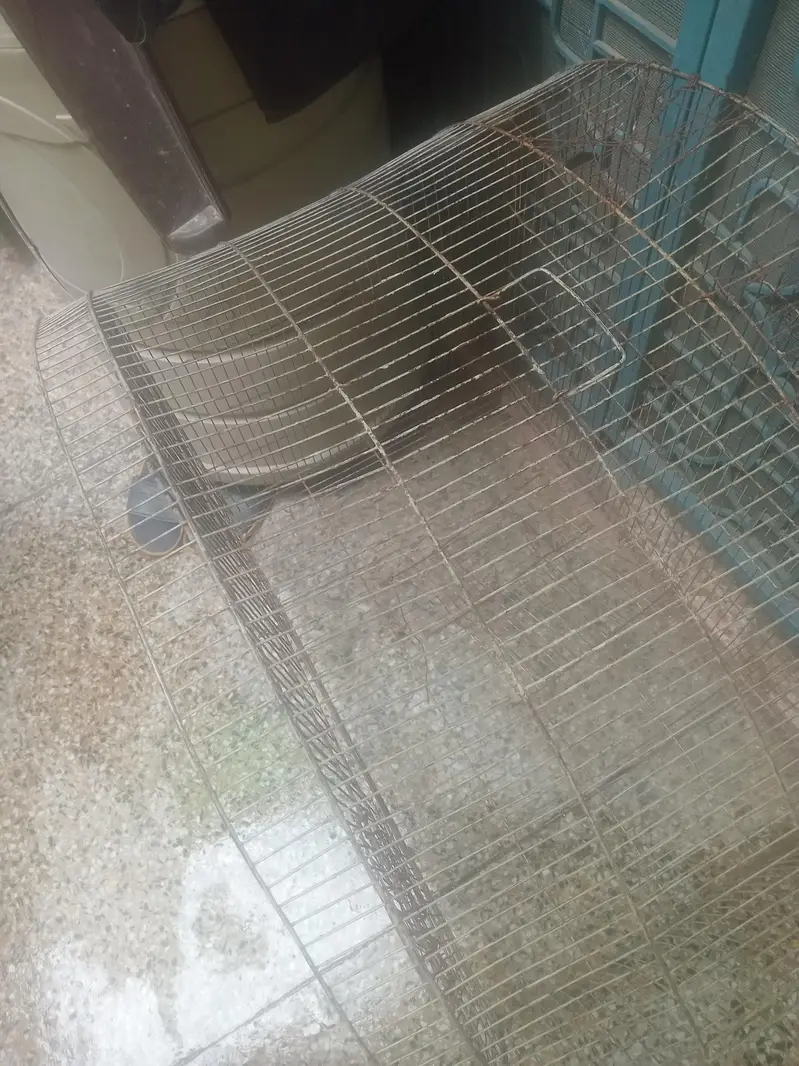 Hen Or Parrot Cages in good condition with Door and lock