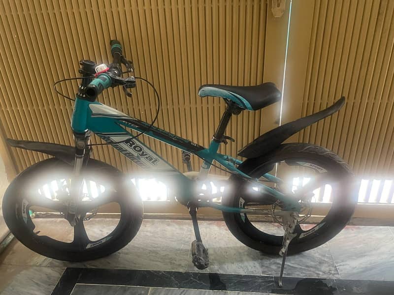 bicycle 4