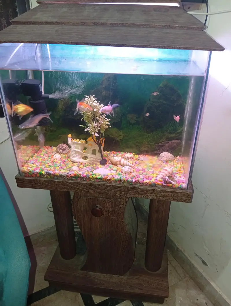 Fishes Aquarium — photo 3