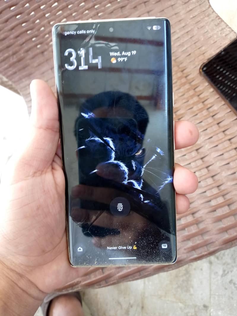 Google Pixel 6 Pro 1