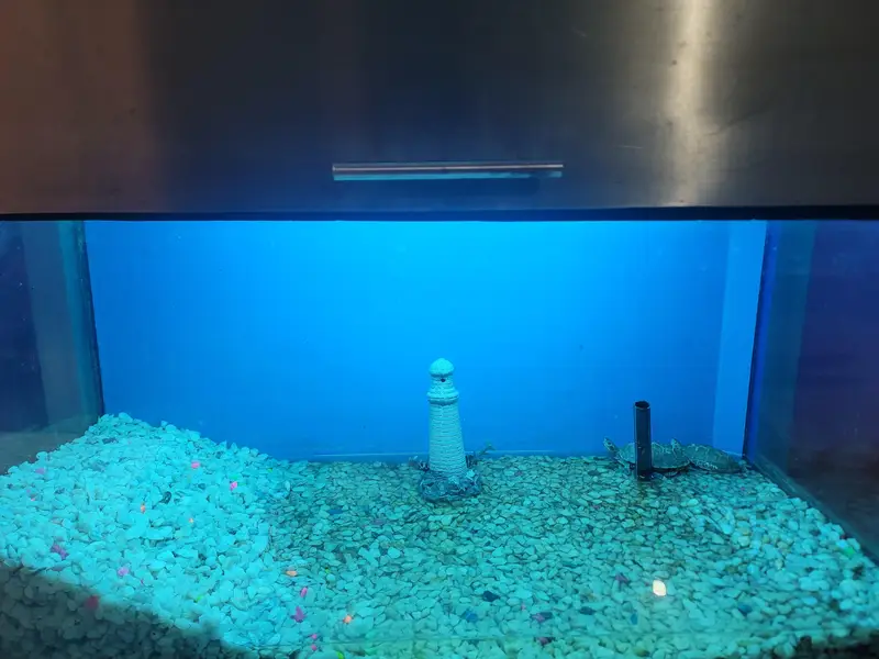 selling full metal fram aquarium