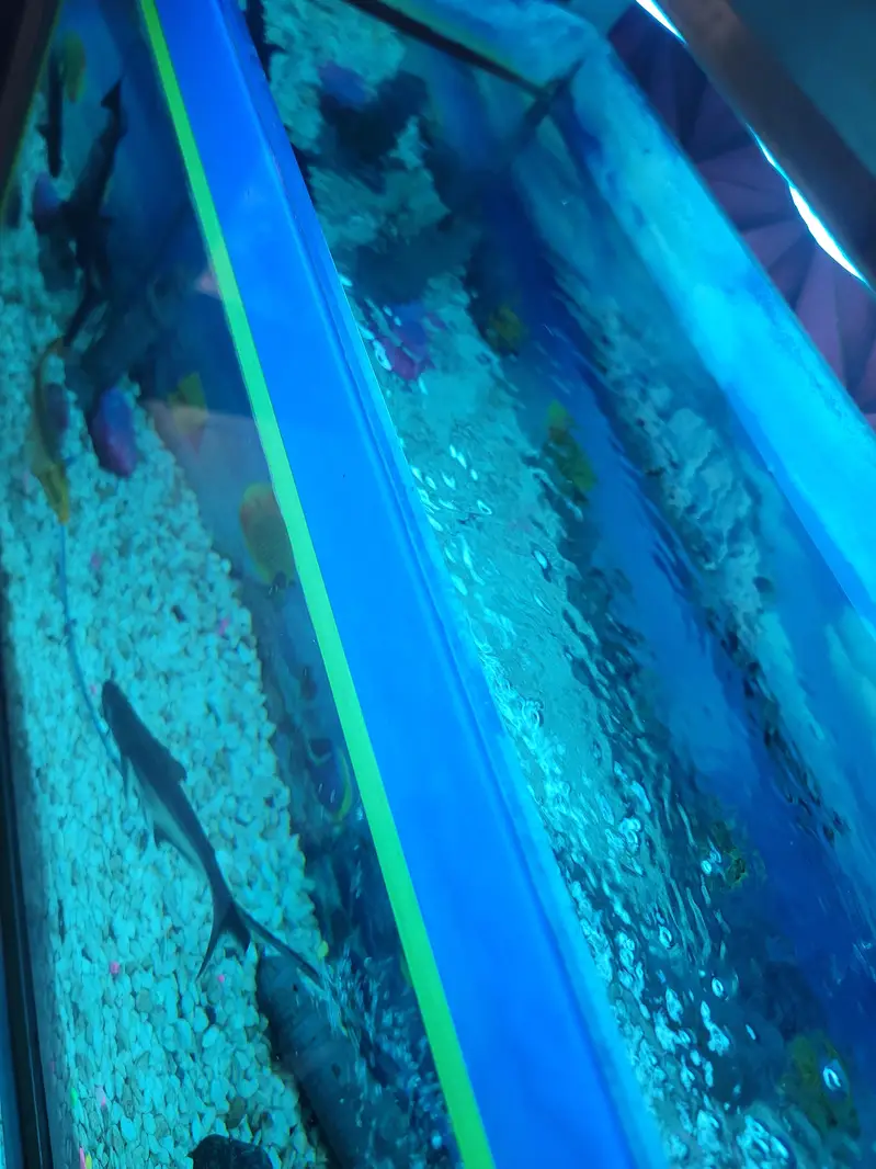 selling full metal fram aquarium — photo 2