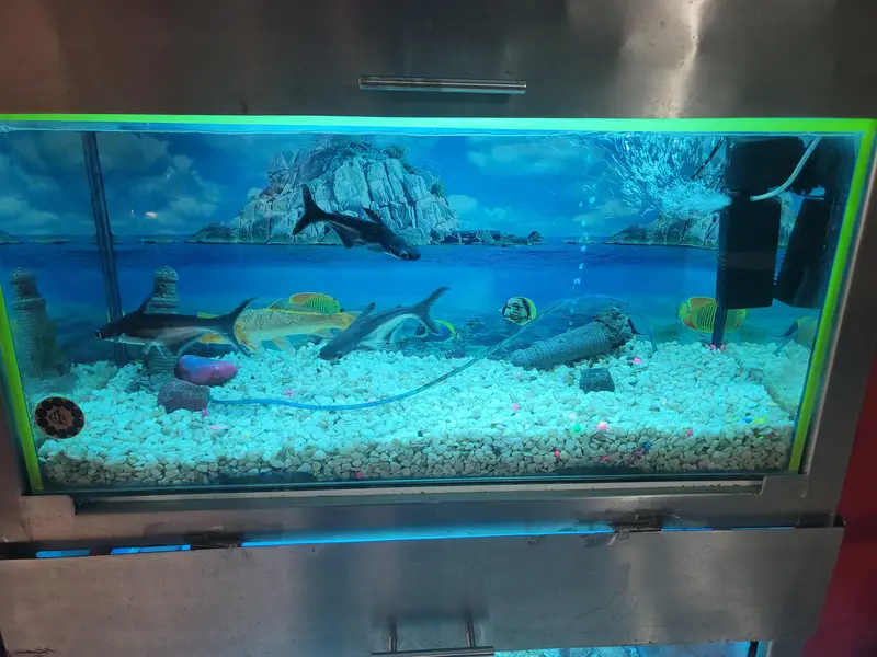 selling full metal fram aquarium — photo 3