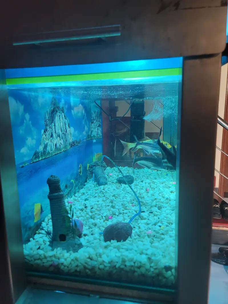 selling full metal fram aquarium — photo 4