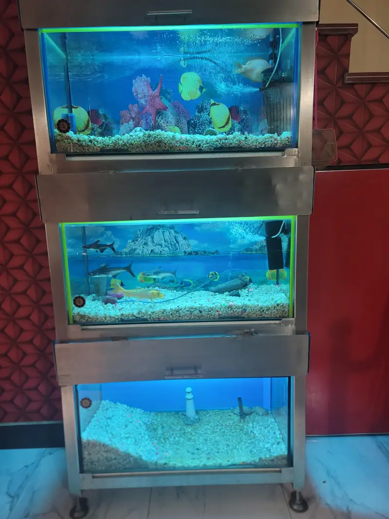 selling full metal fram aquarium — photo 5