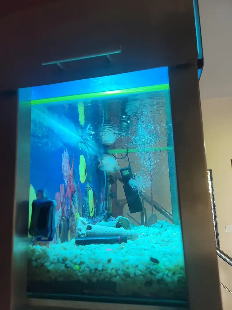 selling full metal fram aquarium — photo 6
