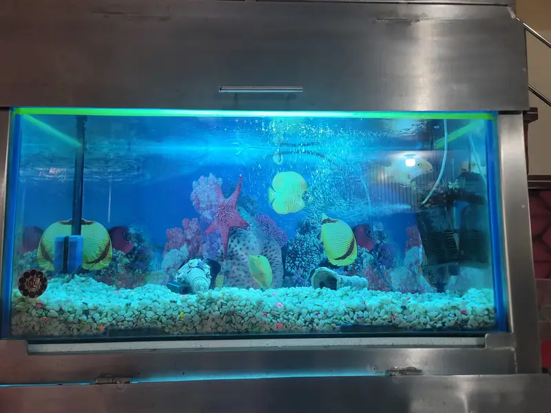 selling full metal fram aquarium — photo 7