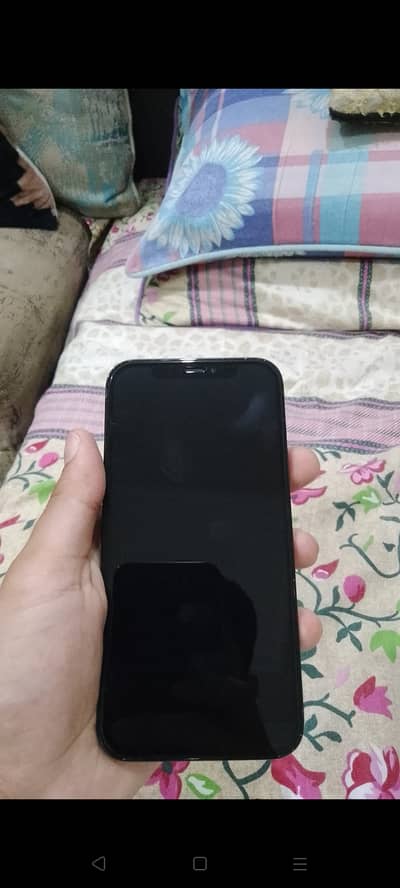 Apple iPhone 12 Pro