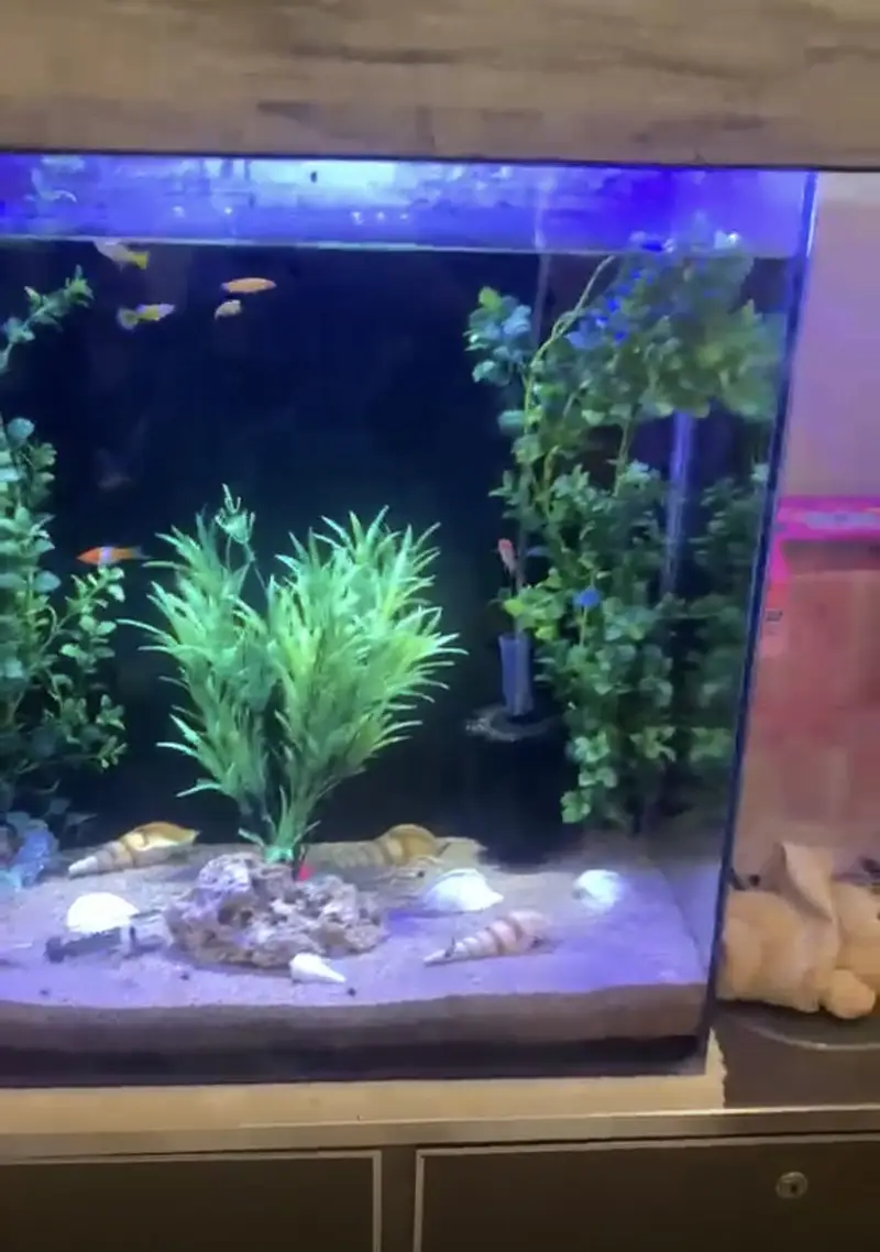 2x2x1 feet large aquarium with scratch less or crack less condition — photo 2