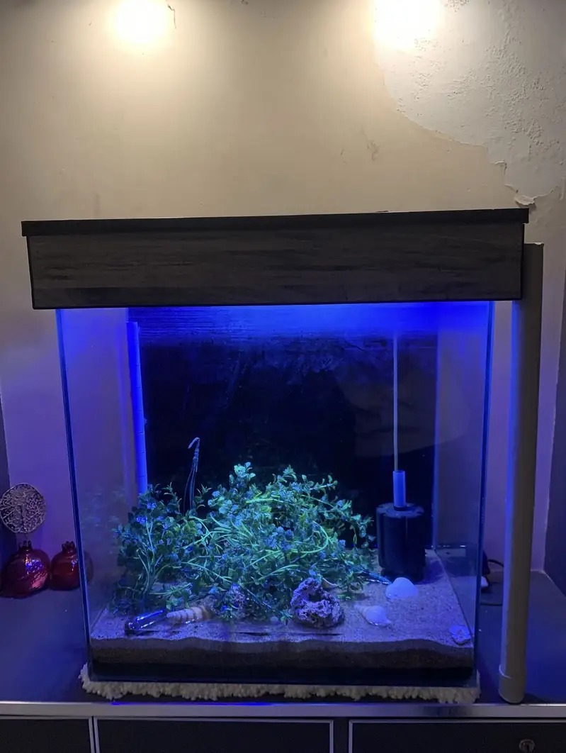 2x2x1 feet large aquarium with scratch less or crack less condition — photo 5