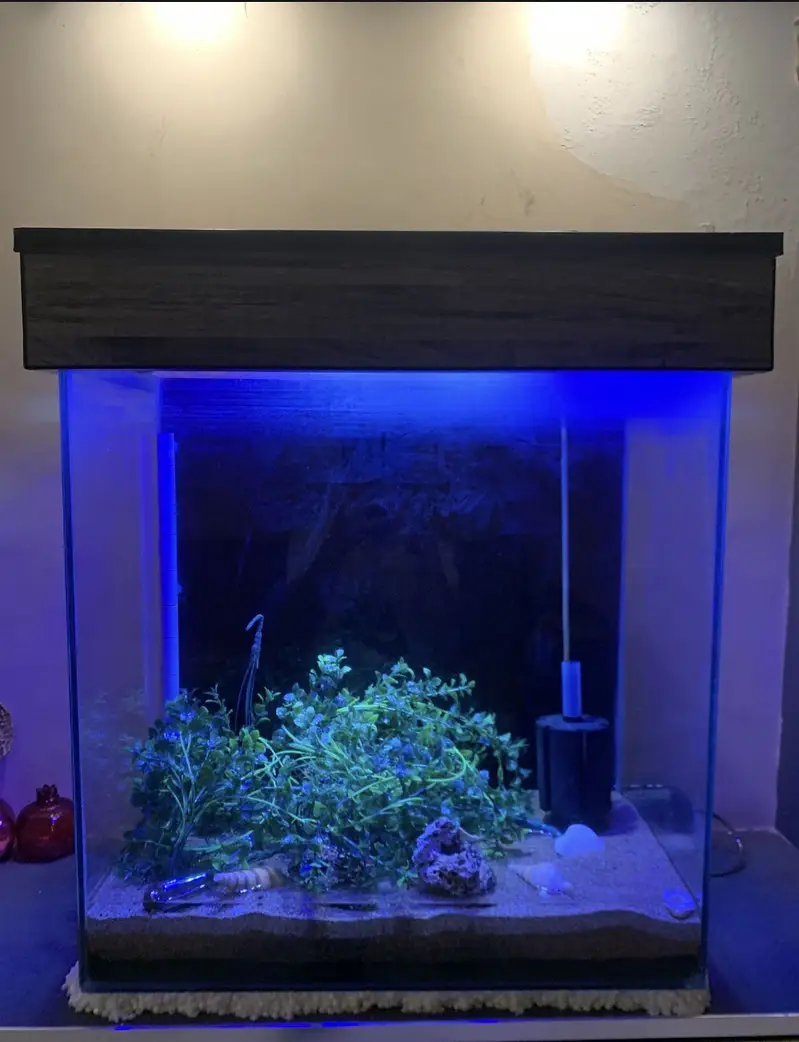 2x2x1 feet large aquarium with scratch less or crack less condition — photo 6