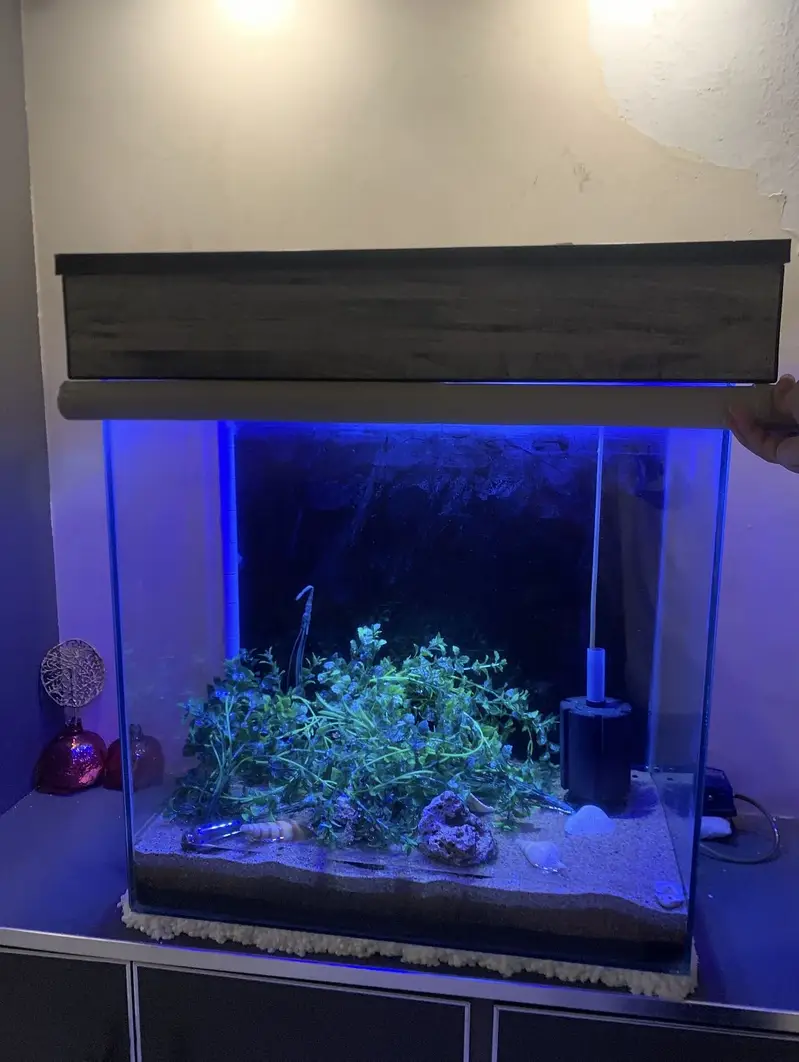 2x2x1 feet large aquarium with scratch less or crack less condition — photo 7