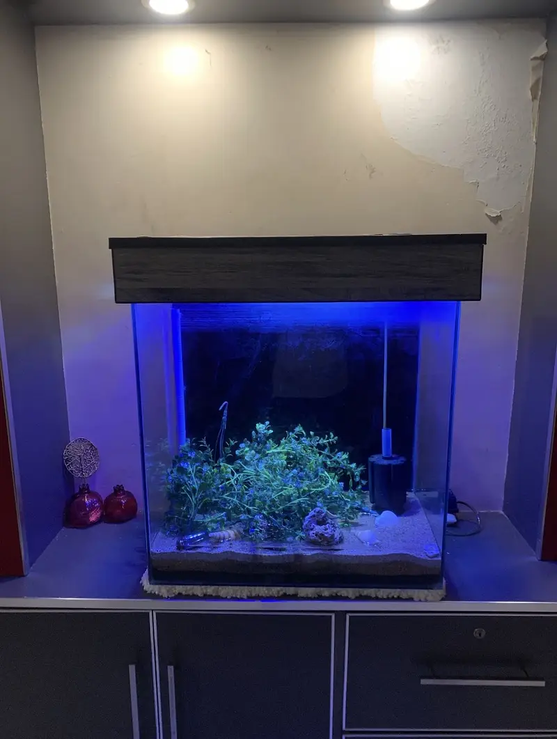 2x2x1 feet large aquarium with scratch less or crack less condition — photo 8