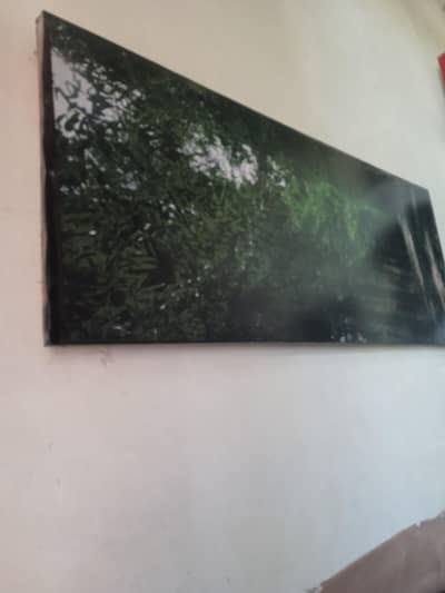 Beautiful Wall scenery