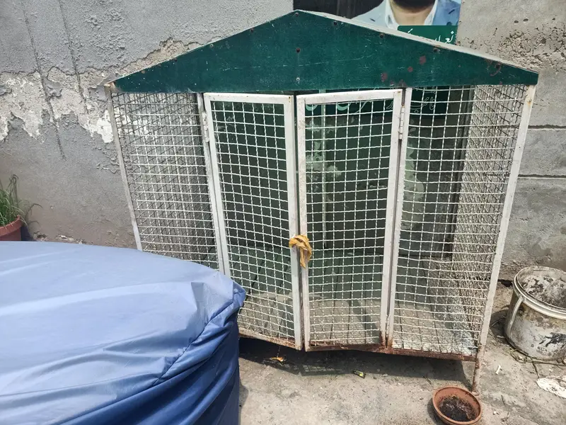 dog cage