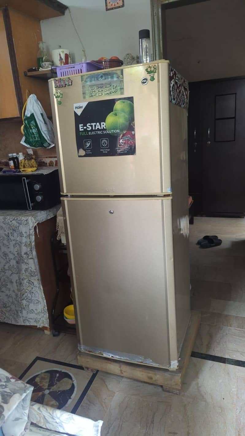 Pel fridge 7