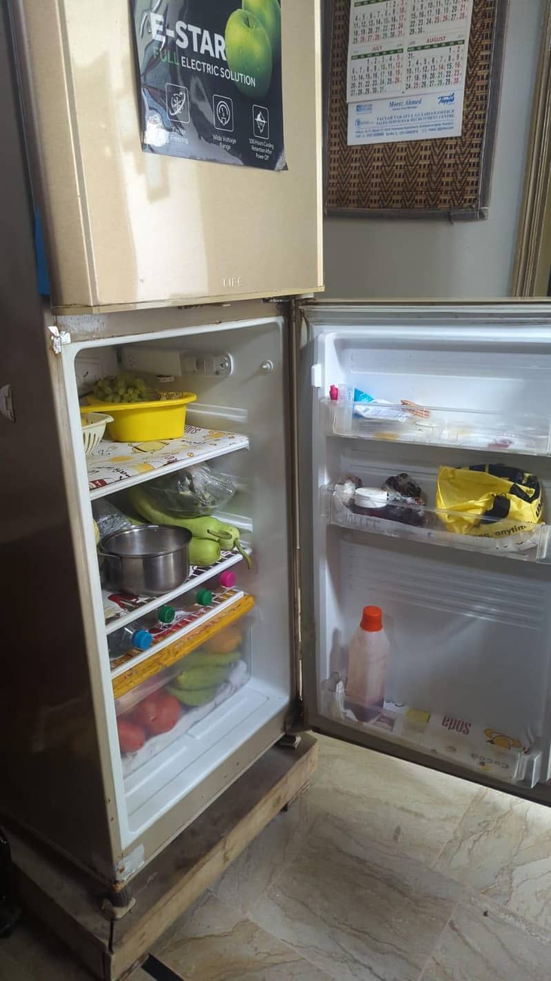 Pel fridge 10