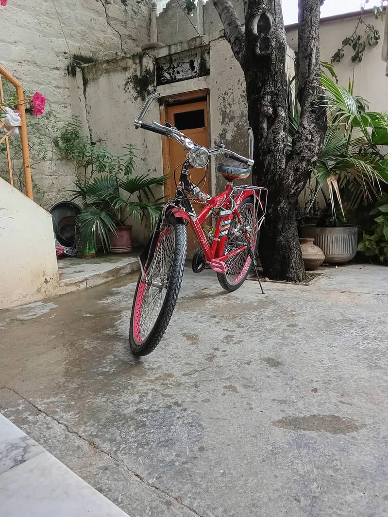 CYCLE 5