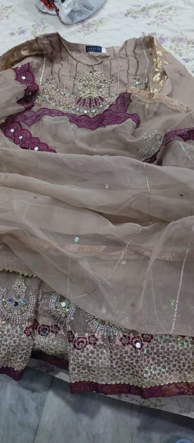 elegent party wear