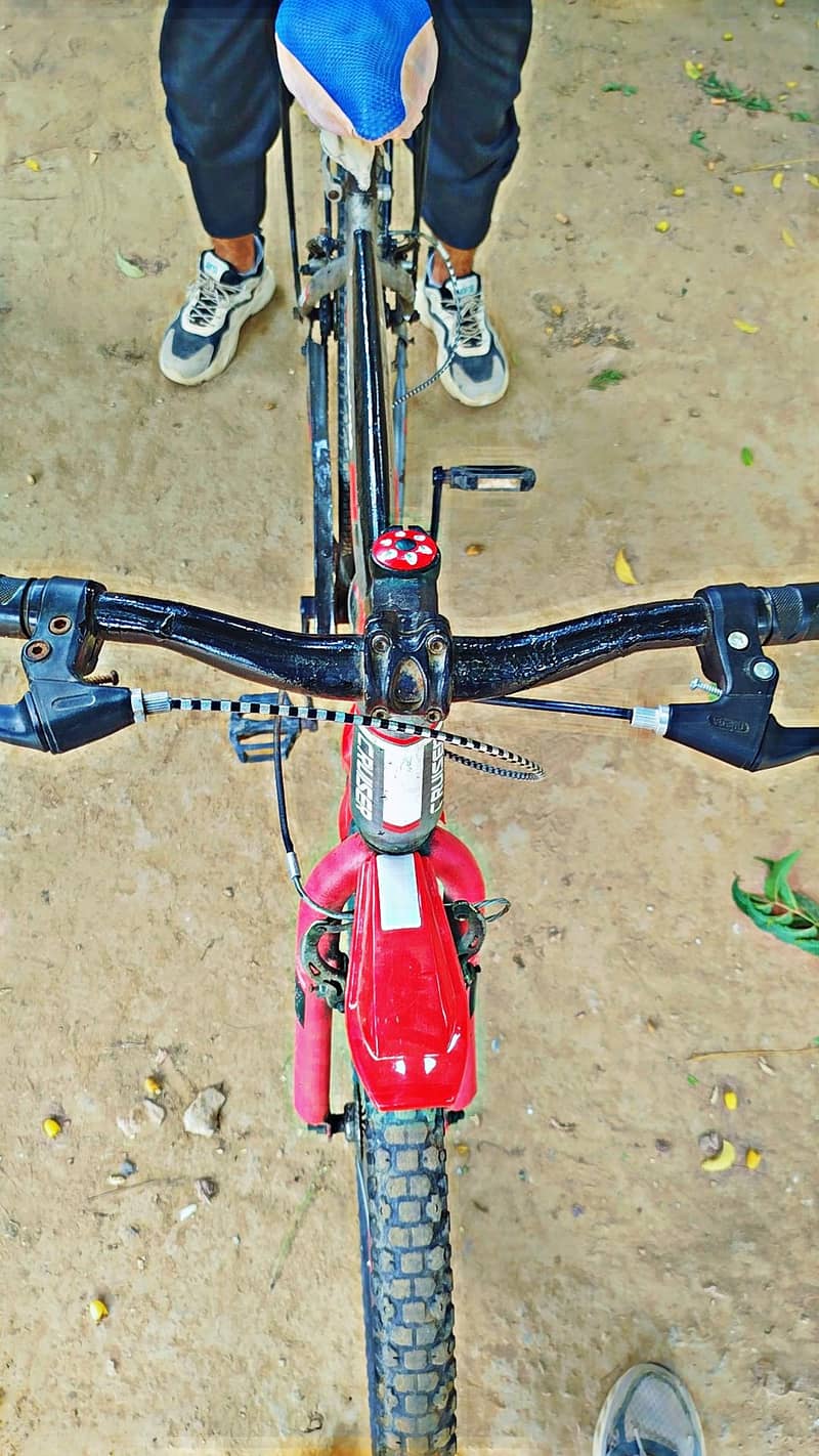 bicycle 3