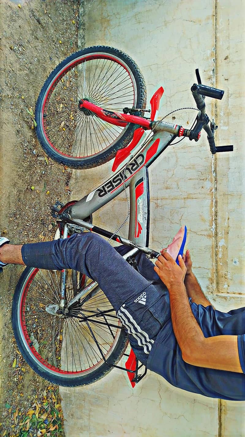 bicycle 4