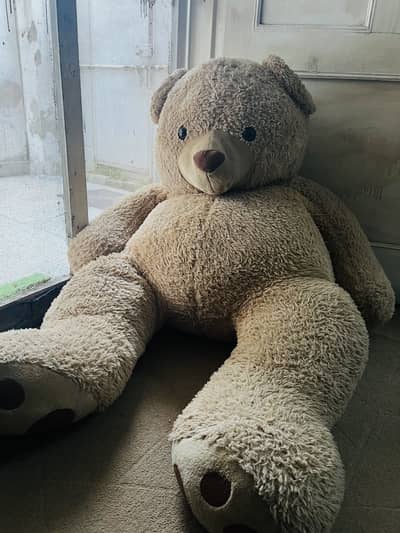 Teddy Bear Big size