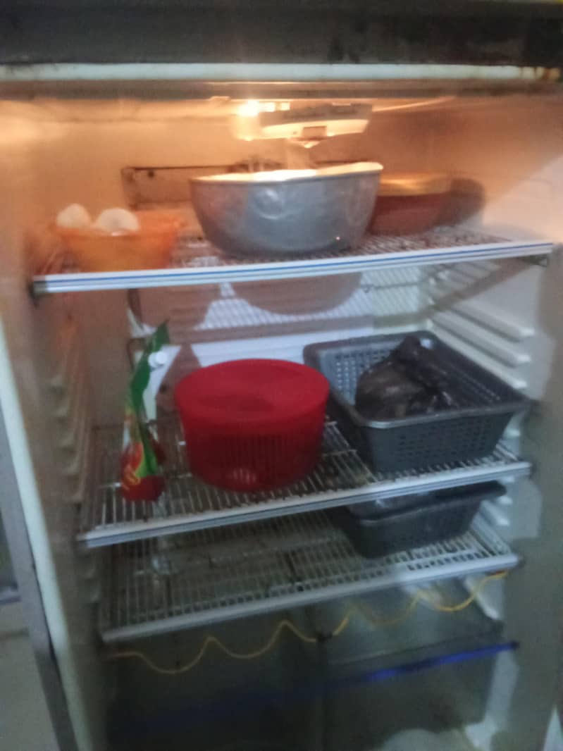frige 1