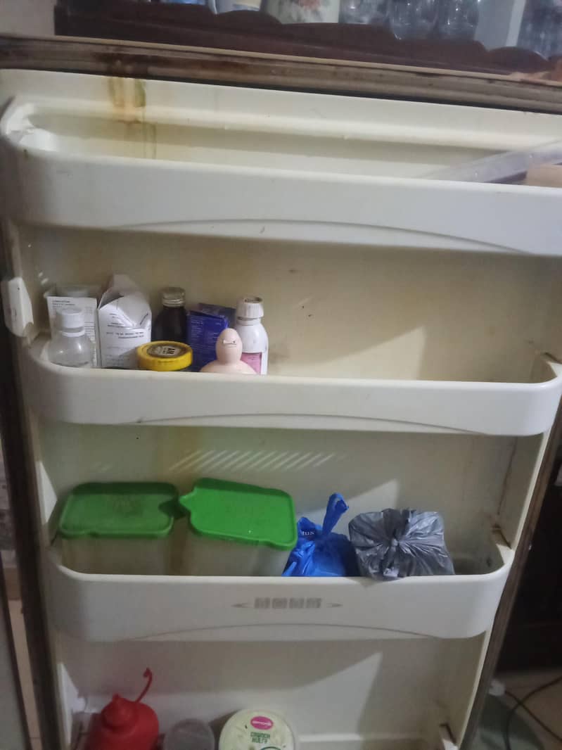 frige 2