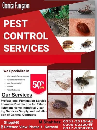 Pest Control/Termite Control/Deemak Control/Dengue Spray/Fumigation