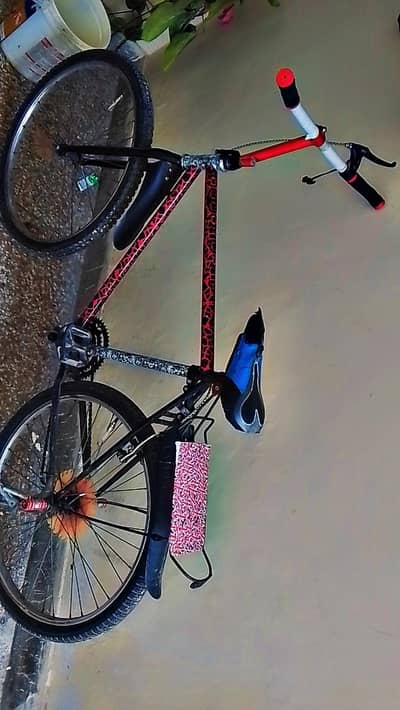 Phoenix cycle