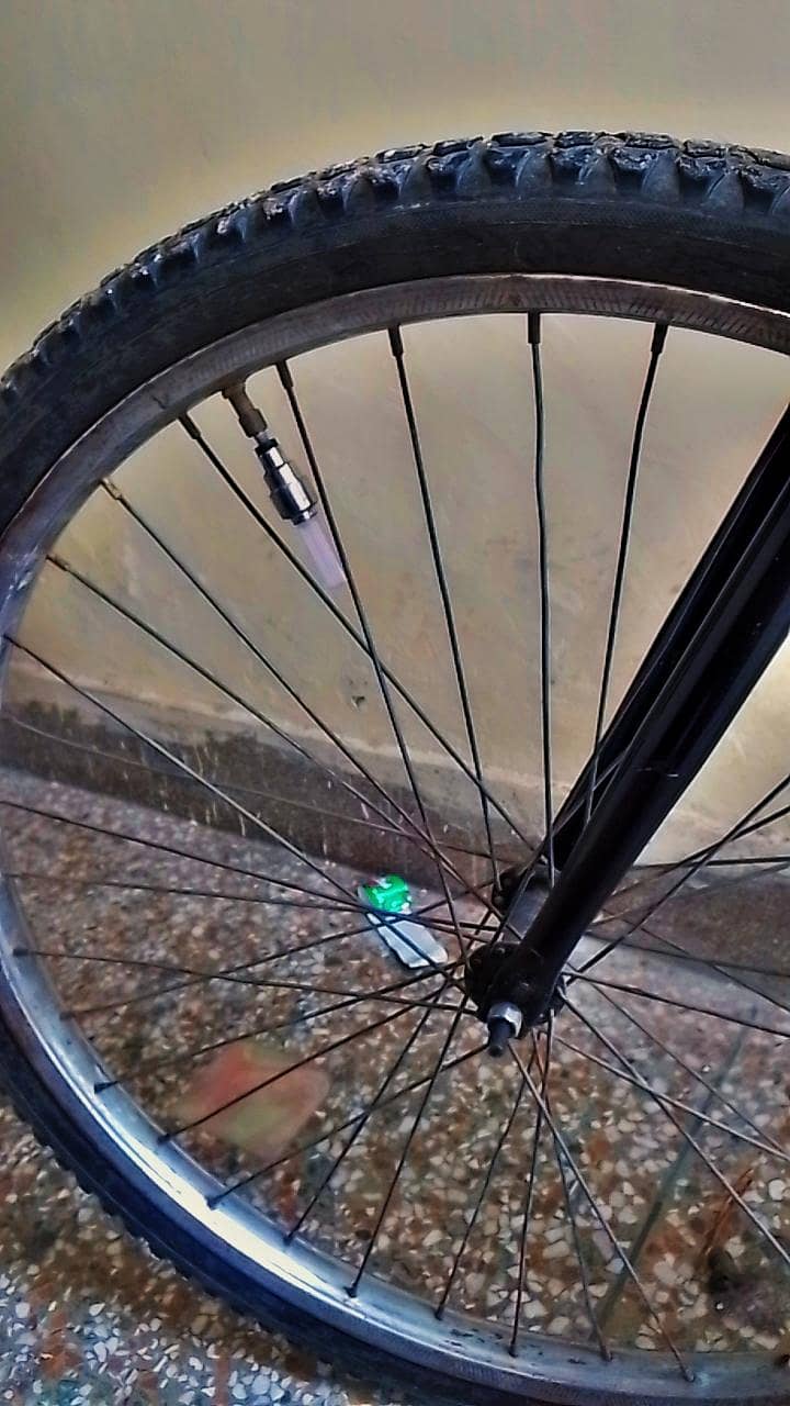Phoenix cycle 1