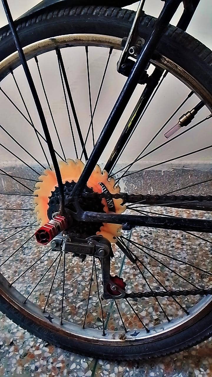 Phoenix cycle 2