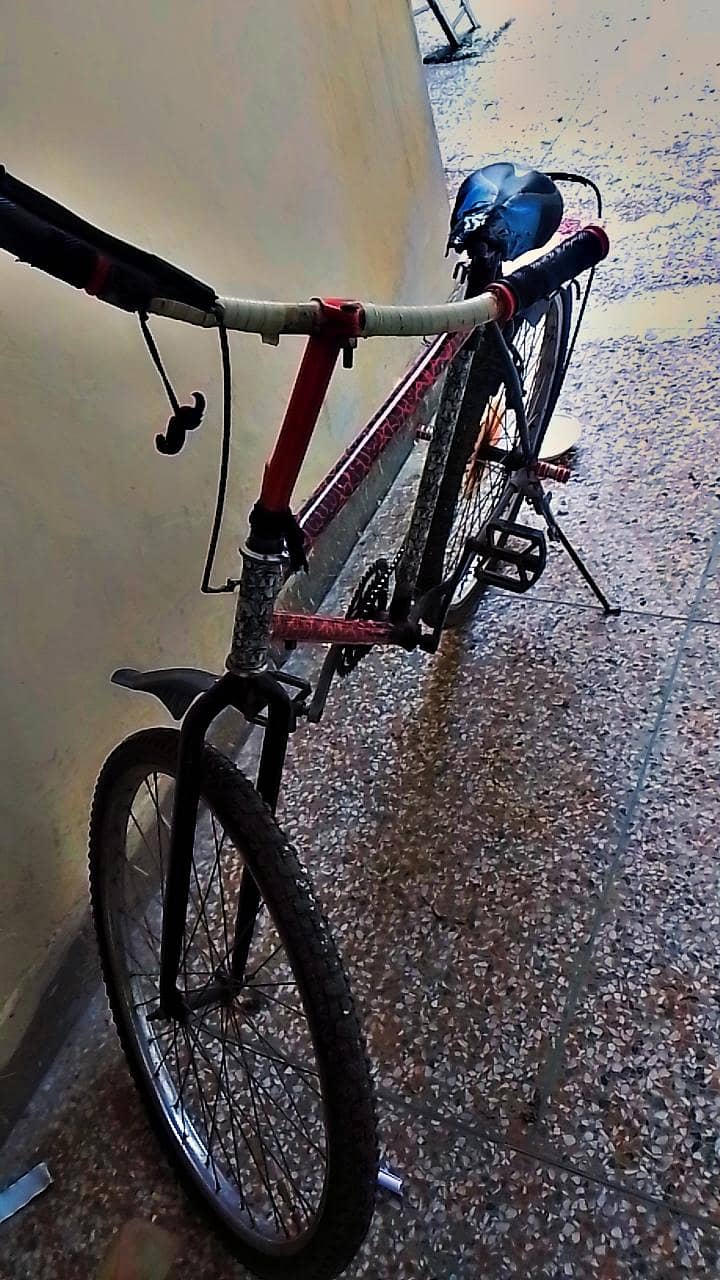 Phoenix cycle 4