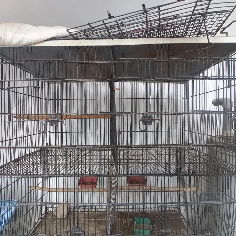 Birds Iron Wire Cage for Sale 4 Cages x 3 Portion — photo 2