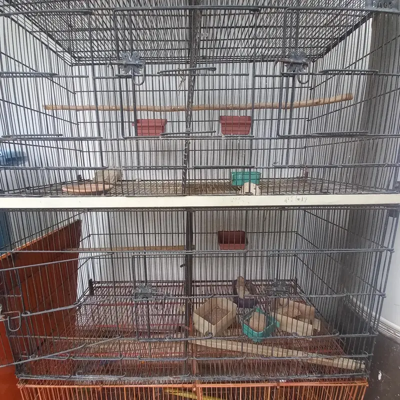 Birds Iron Wire Cage for Sale 4 Cages x 3 Portion — photo 4
