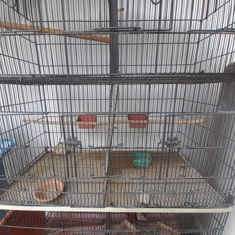 Birds Iron Wire Cage for Sale 4 Cages x 3 Portion — photo 5