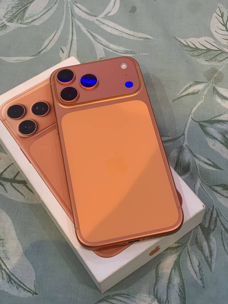 Apple iPhone 17 Pro Max 0