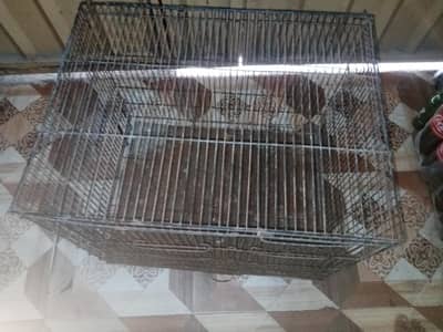 Bird Cage