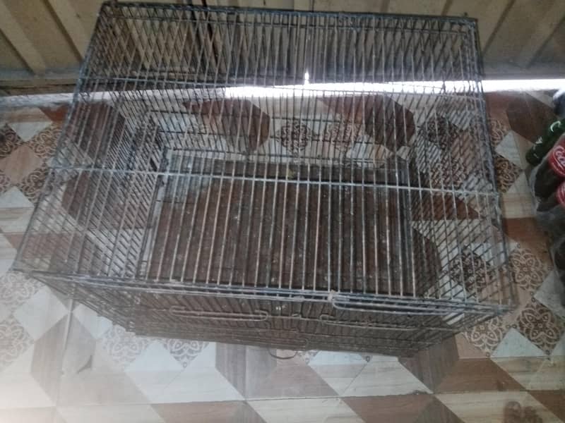 Bird Cage 0