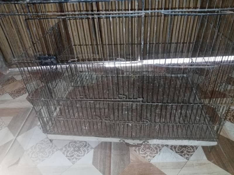 Bird Cage 1