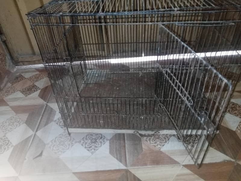 Bird Cage 2