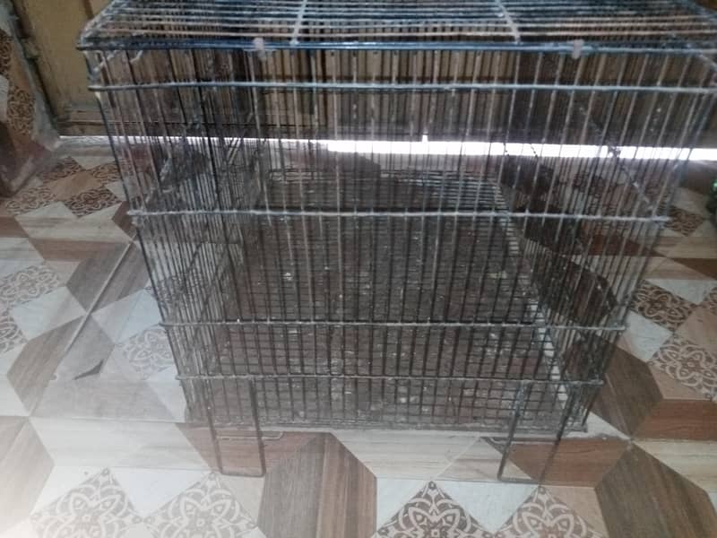 Bird Cage 3