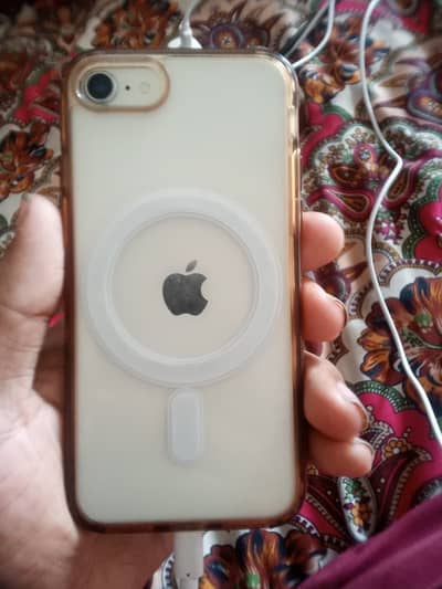 adeel tanoli