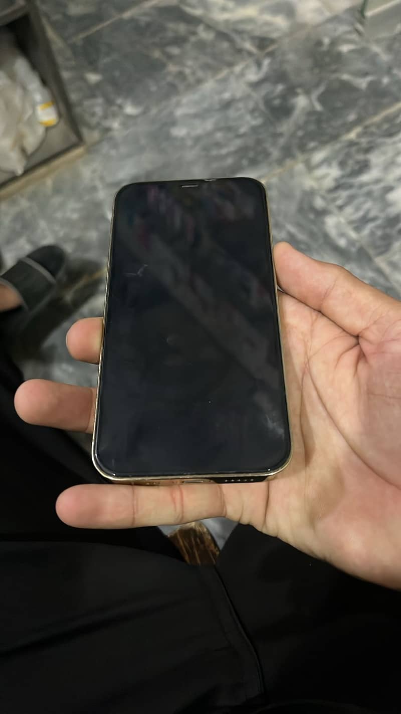 Apple iPhone 12 Pro 1