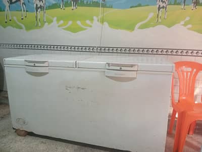 double door freezer