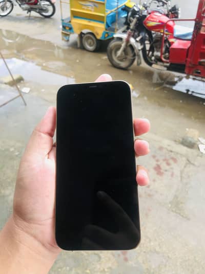 Apple iPhone 12 Pro Max