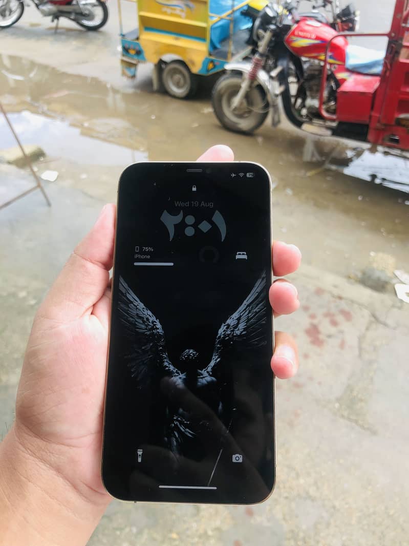Apple iPhone 12 Pro Max 1